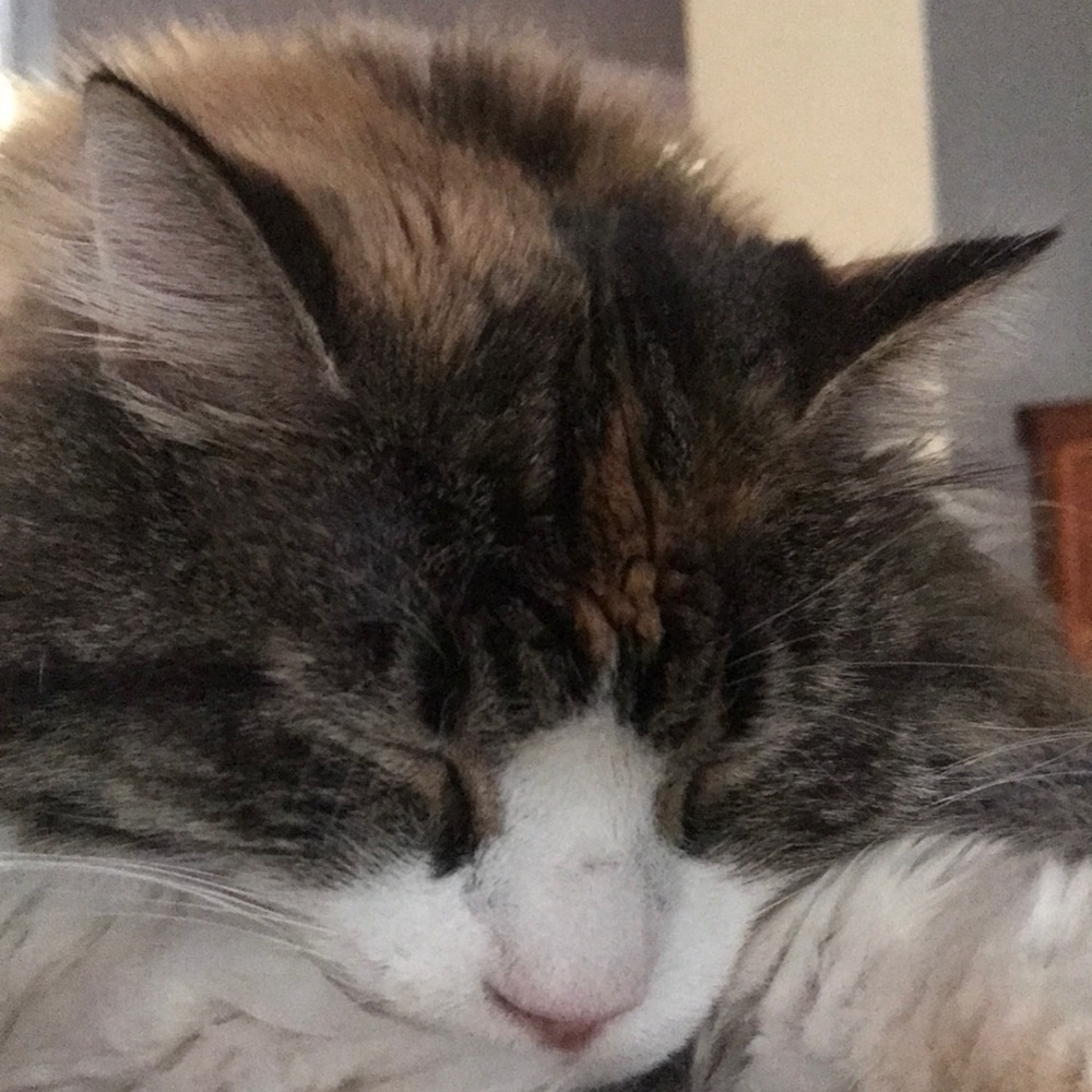 Meet your Posher, Kendra